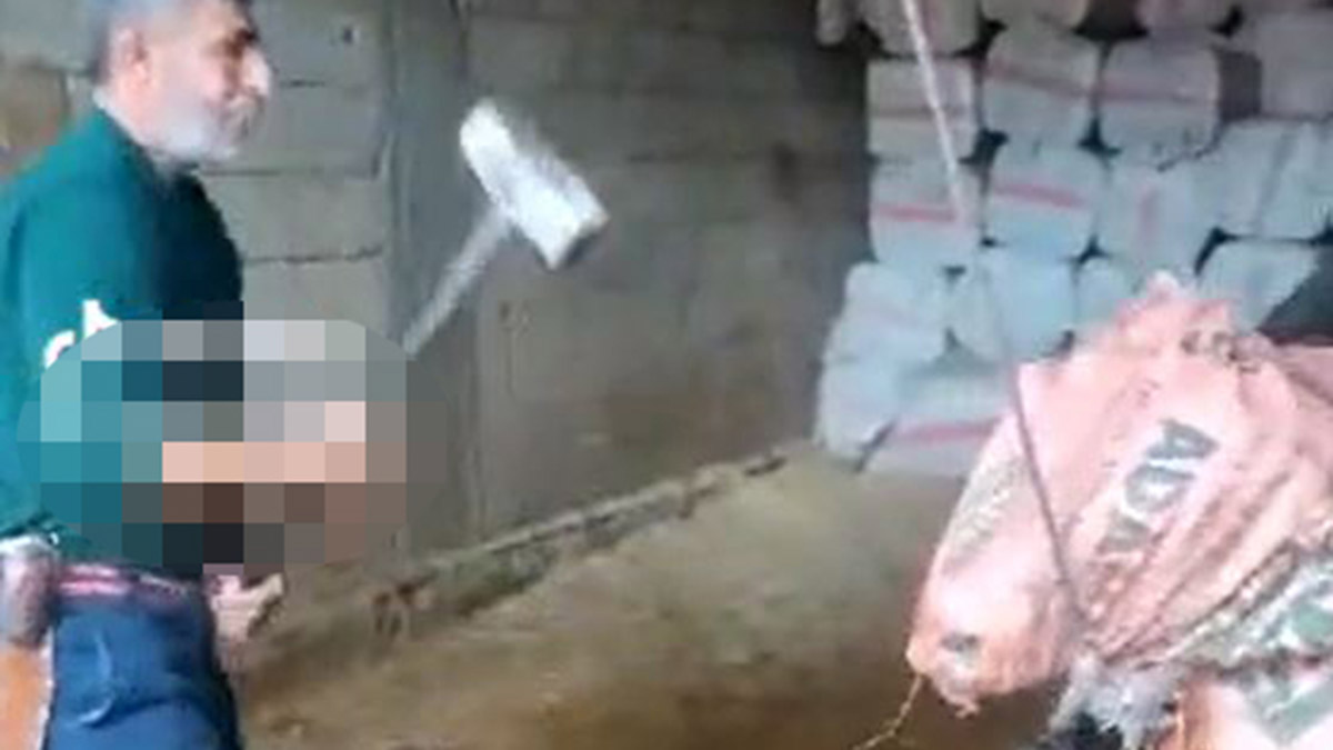 Keseceği boğayı balyozla öldüren sanığa tahliye