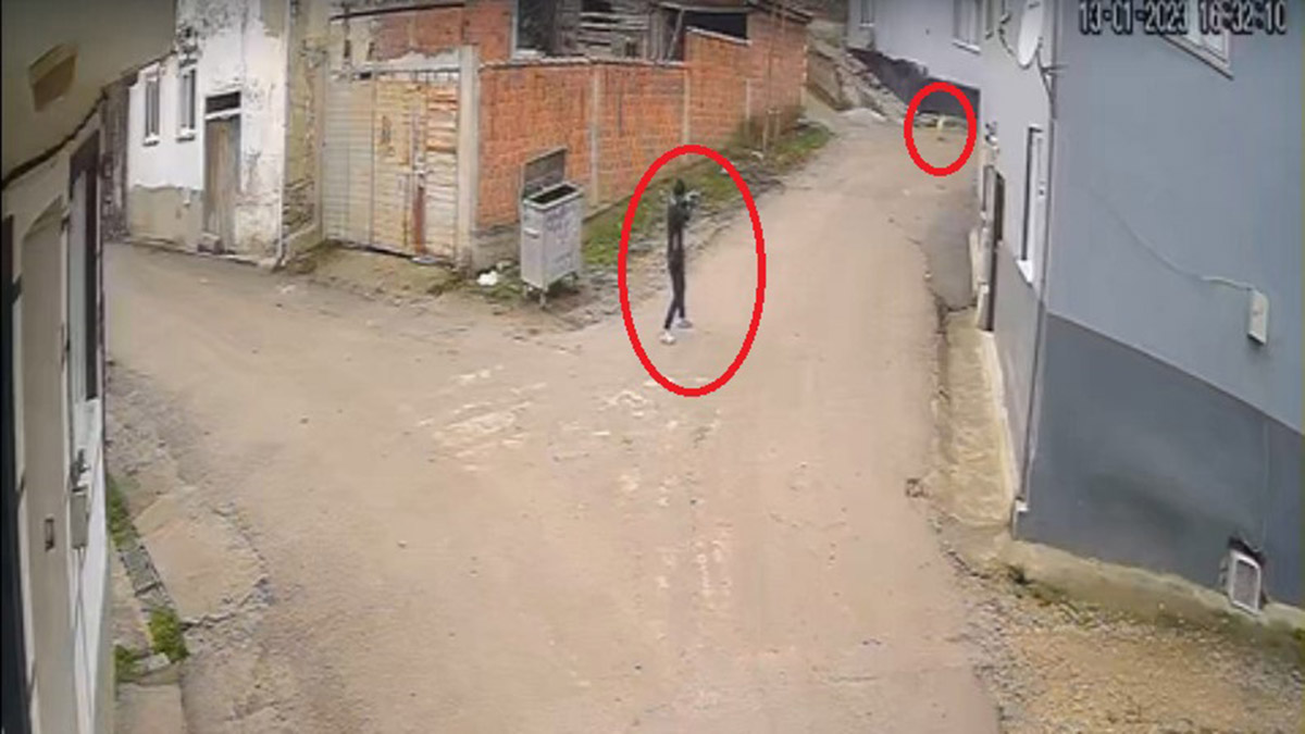 Kovaladığı köpeği tüfekle öldürdü