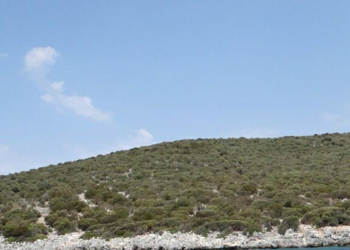 Küçük Tavşan Adası, 220 milyon liraya satışta