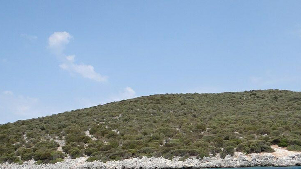 Küçük Tavşan Adası, 220 milyon liraya satışta