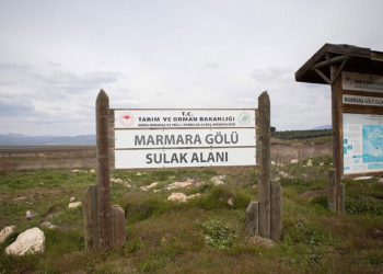 Marmara Gölü'nde ayçiçeği ekimi hedefi