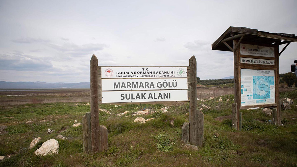 Marmara Gölü'nde ayçiçeği ekimi hedefi