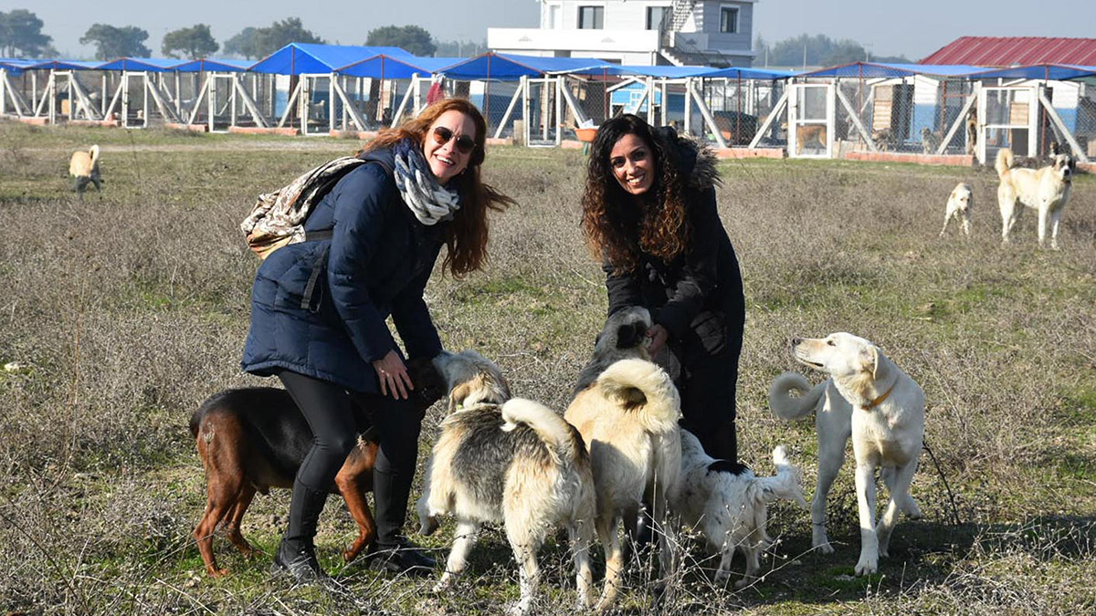 'Merhamet Bahçesi' sokak hayvanlarına yuva oldu
