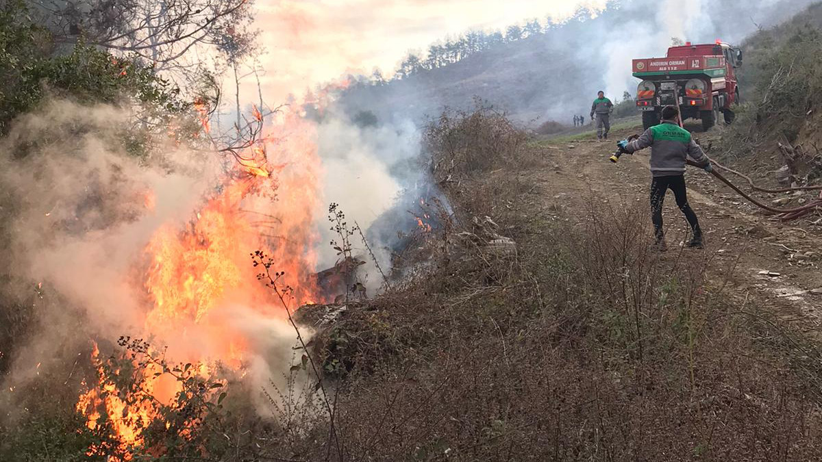 Ormanı 17 yerden yaktığı iddiasıyla gözaltına alındı