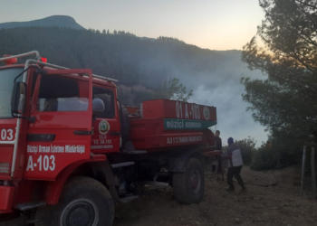 Osmaniye'de orman yangını