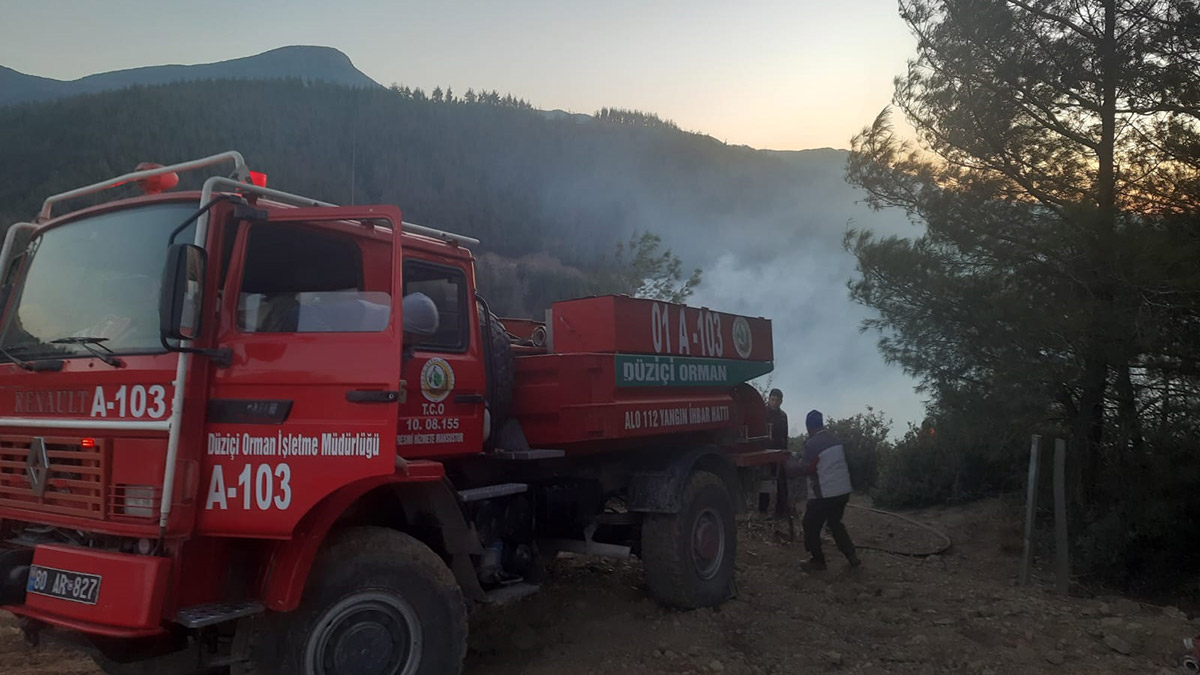 Osmaniye'de orman yangını