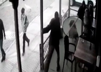 Rize'de köpeğe değnekli şiddet kamerada
