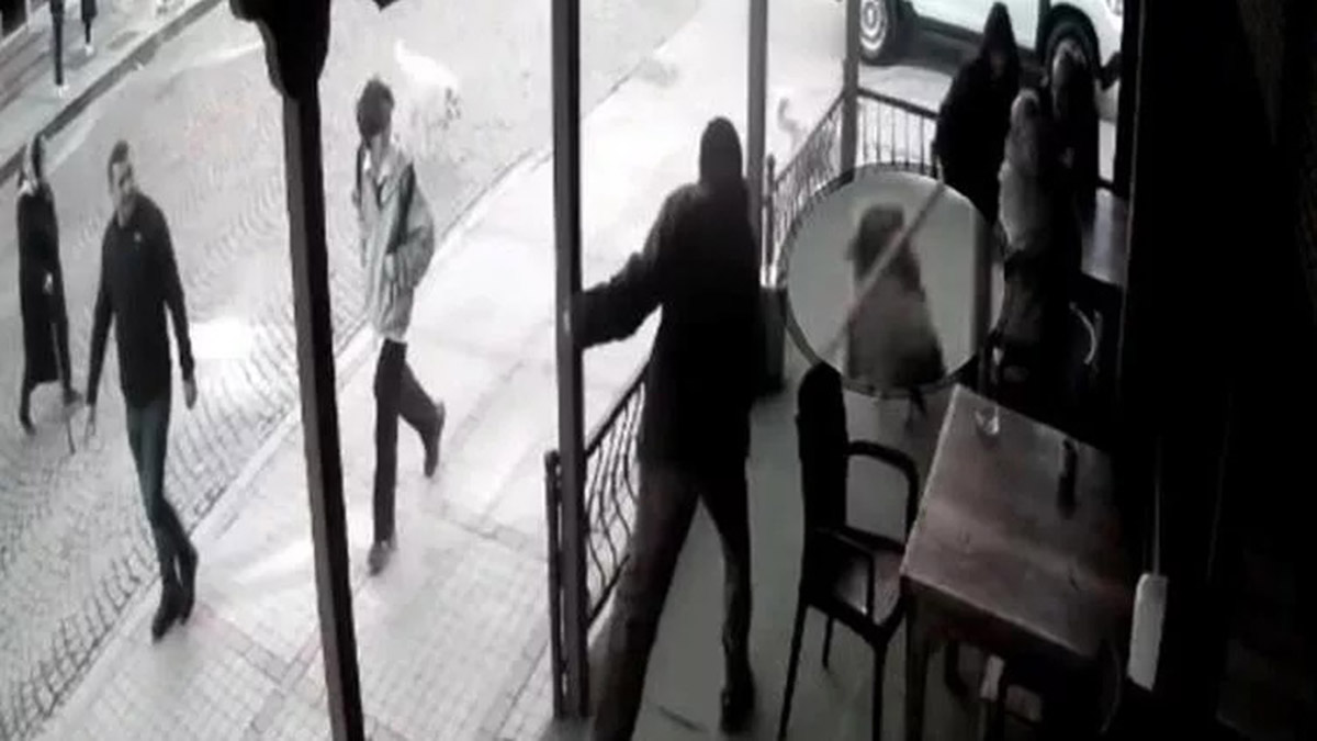 Rize'de köpeğe değnekli şiddet kamerada