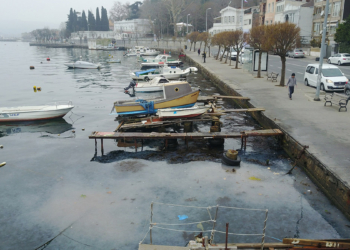 Sarıyer sahilde denizanası yoğunluğu
