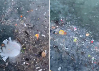 Sarıyer sahili çöp ve denizanasına teslim oldu