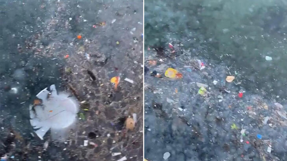 Sarıyer sahili çöp ve denizanasına teslim oldu