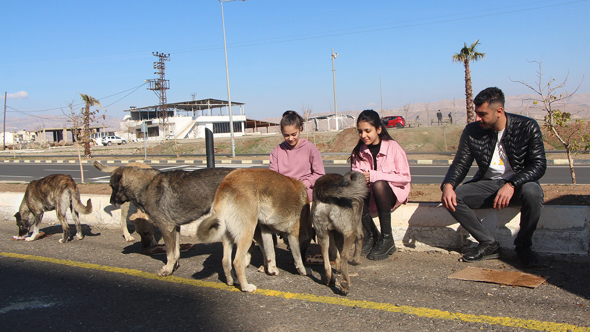 Servisi şoförü, 13 yıldır sokak hayvanlarını besliyor