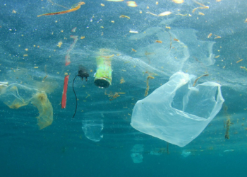 TÜBİTAK, mikroplastik araştırma projesini destekleyecek