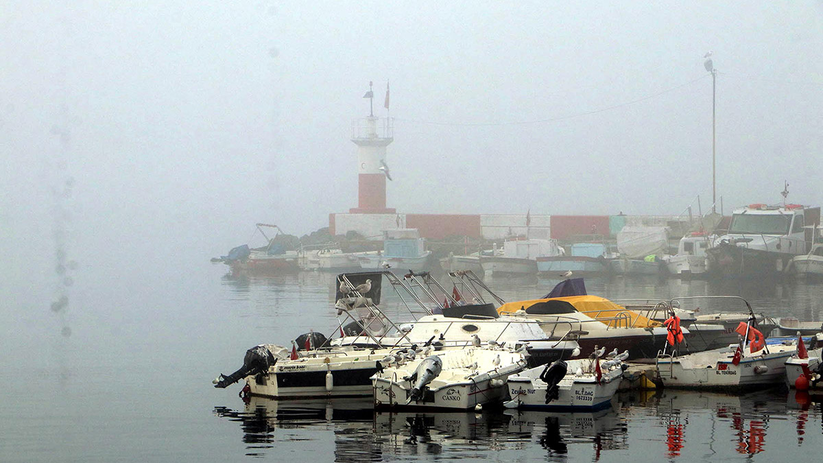 Tekirdağ'da yoğun sis; balıkçılar denize açılamadı