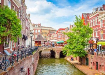 Türk girişimcilerden Hollanda'ya büyük ilgi