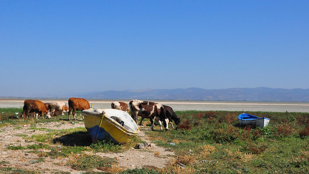 Türkiye'nin ilk iklim davasında karar çıktı