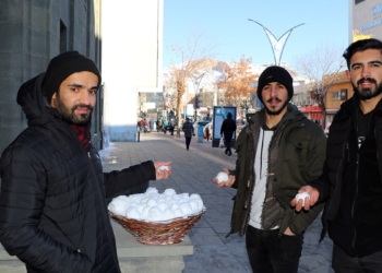 Van Gölü'ndeki kuraklığa 'kar topu' ile dikkat çekti