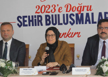 Vesayet günlerine geri dönüşü vadediyorlar