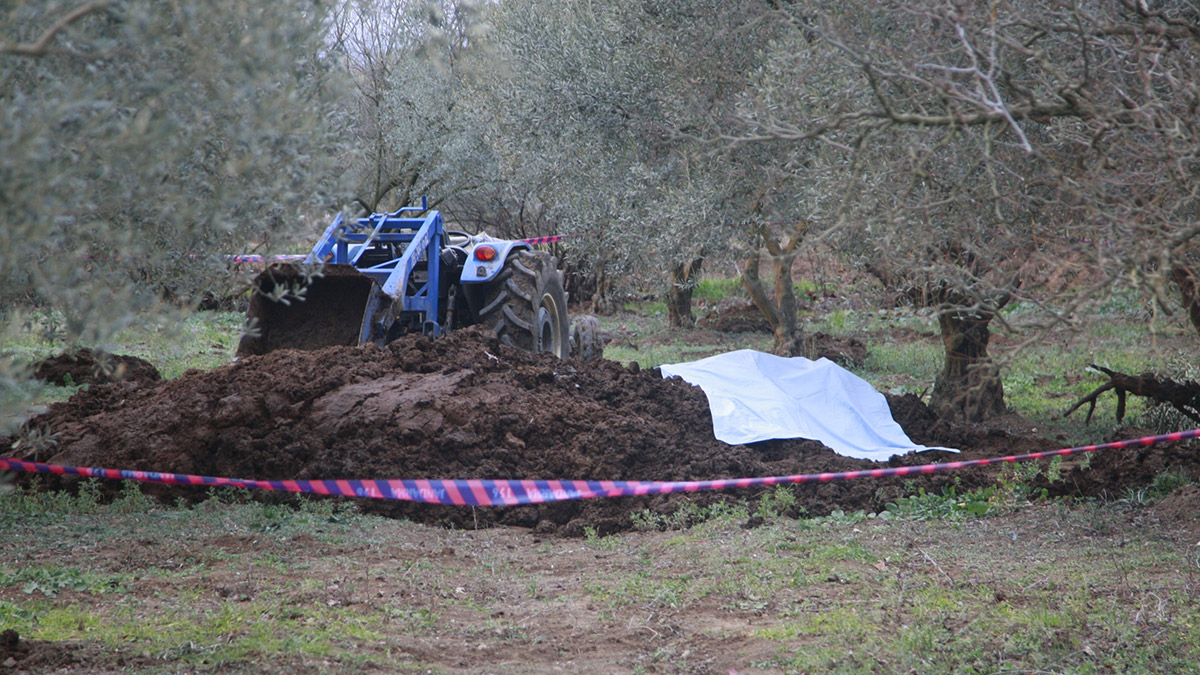 Zeytinliğe getirilen gübrenin içinden ceset çıktı