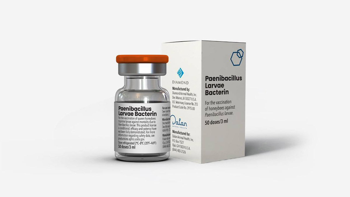 ABD Tarım Bakanlığı arı aşısını onayladı