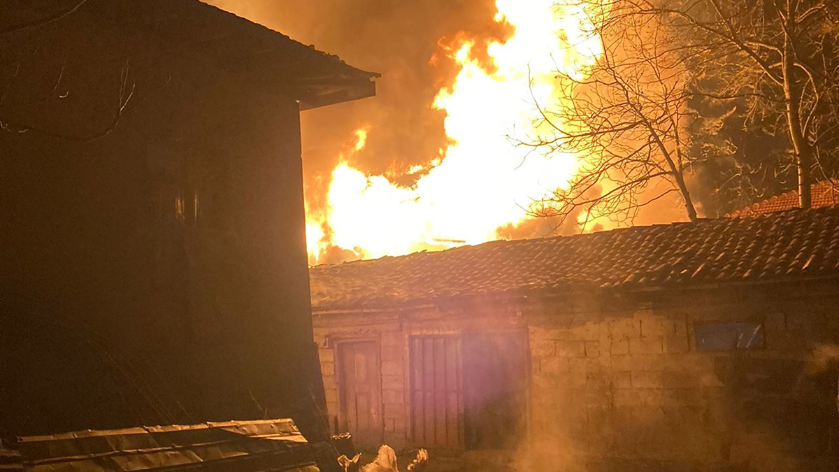 Alev alev yanan ahırdaki 6 büyükbaş hayvan kurtarıldı