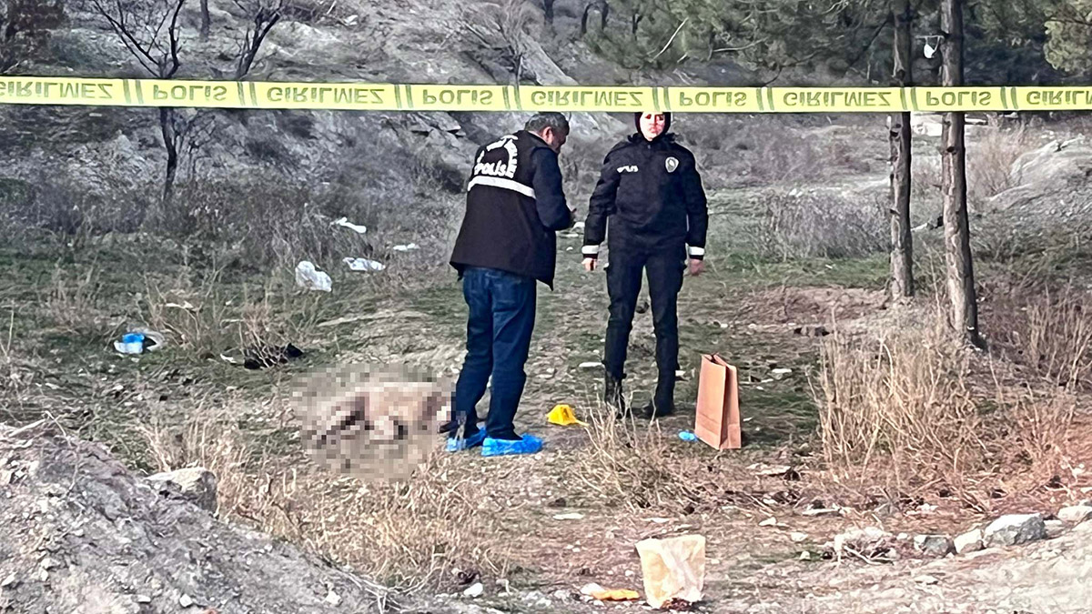 Tüfekle vurulmuş 4 köpek ölüsü bulundu