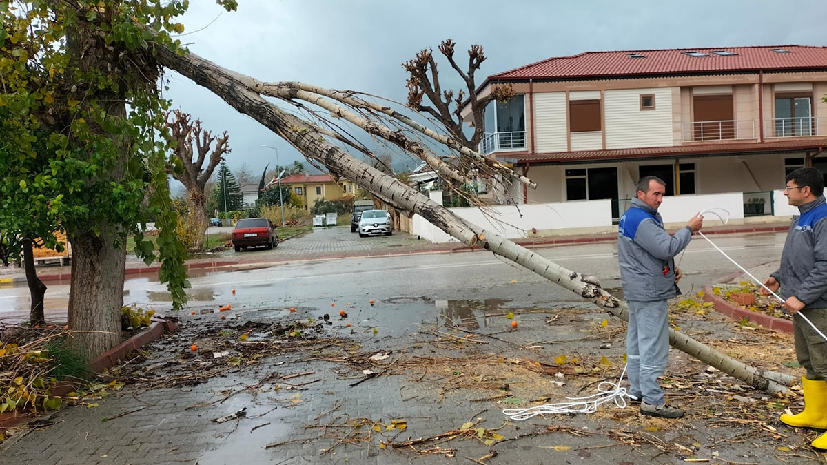 Antalya'da salı gecesinden bu yana etkili olan yağmurla birlikte hızı zaman zaman 120 kilometreyi geçen fırtına, kentte hayatı olumsuz etkiledi. Son 24 saatte Kumluca'da metrekareye 145 kilogram yağış düşerken, fırtınanın hızı ise Kemer'de 122 kilometre ölçüldü.