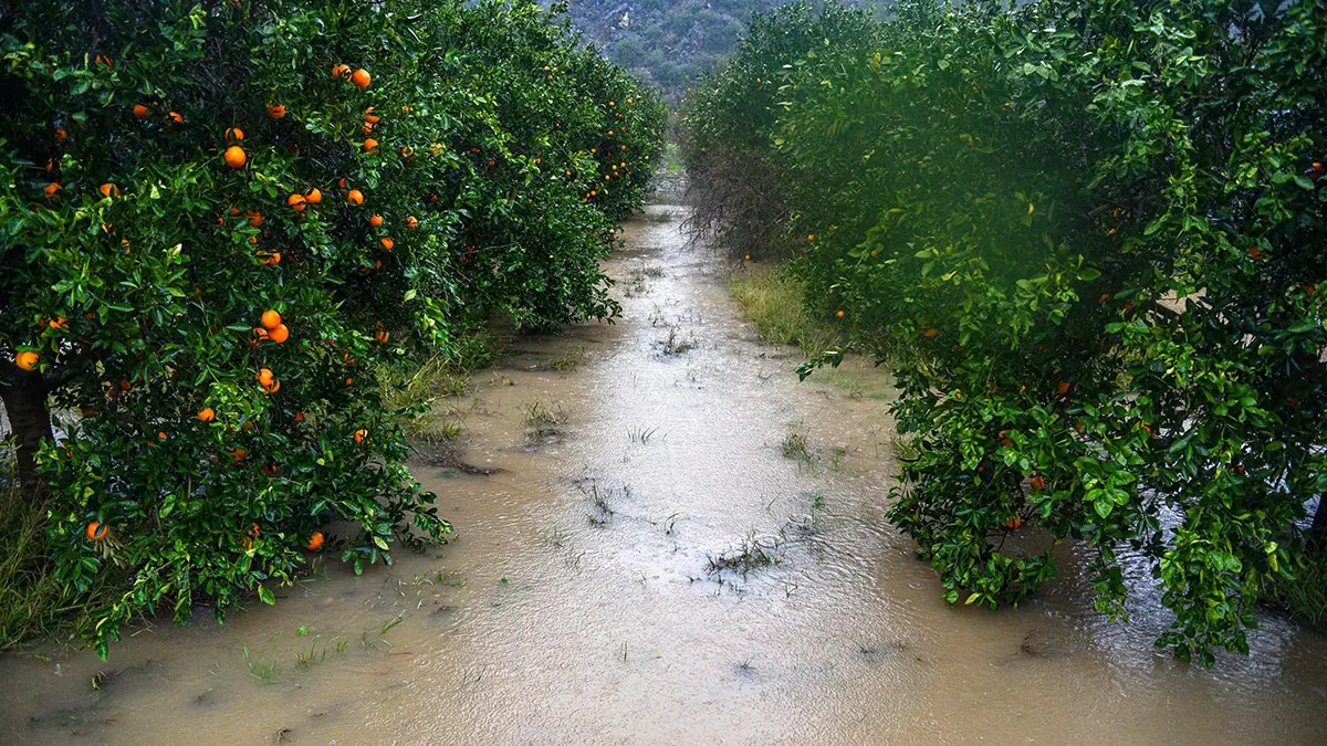 Antalyada metrekareye 173 kilo yagmur hizi 122 kilometreye ulasan firtina 3 6924 dhaphoto1 - antalya haberleri - antalya'da son dakika, yerel haberler - haberton