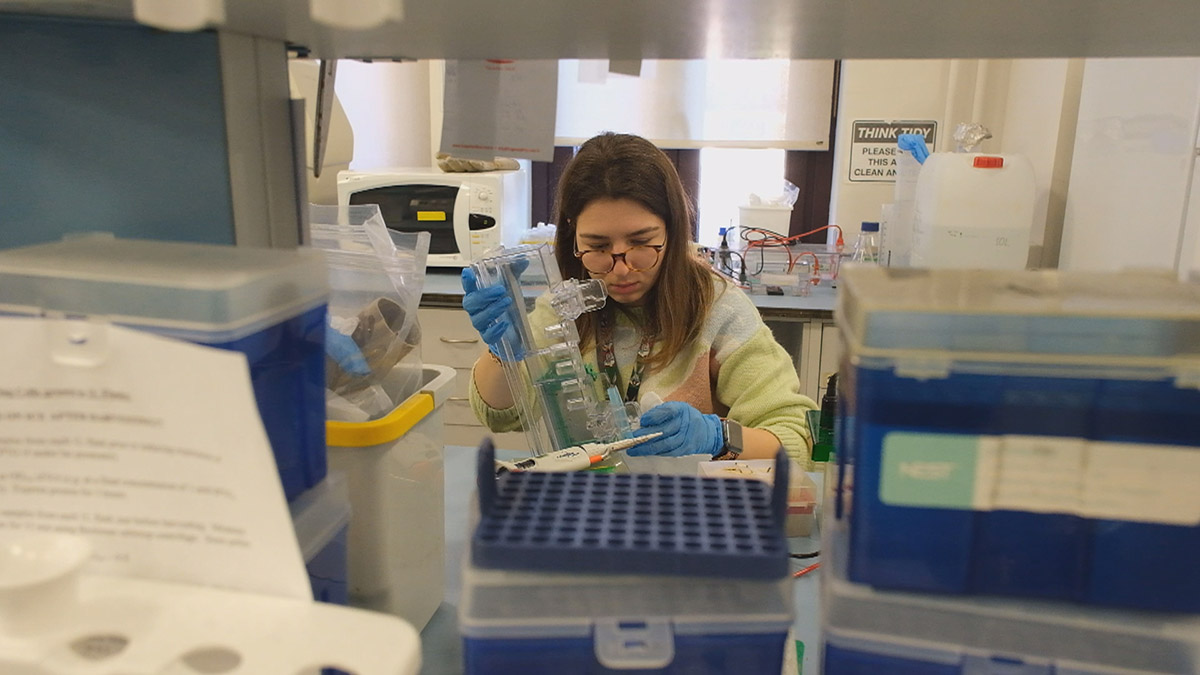 Aziz Sancar'ın keşfi kanseri önleyebilecek ilaca dönüşüyor