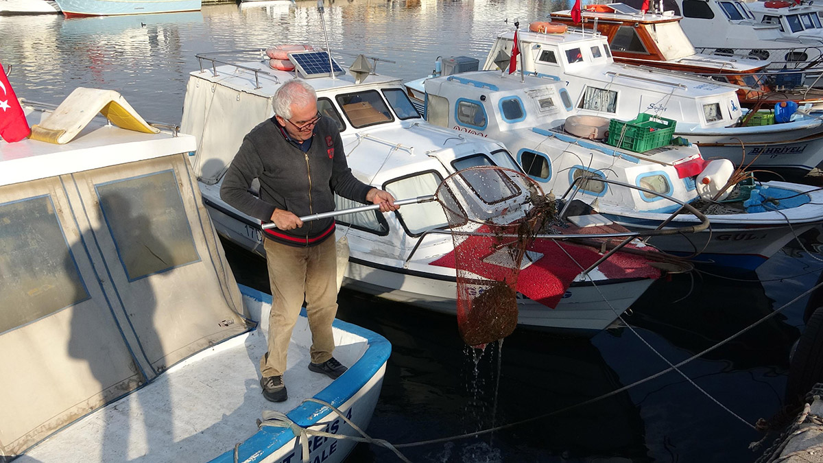 Sarıçay'da yosun ve otlarla mücadele