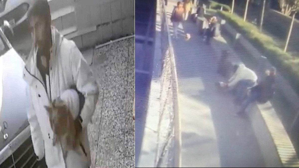 Çalınan köpeği sahibine satmak isterken yakalandılar