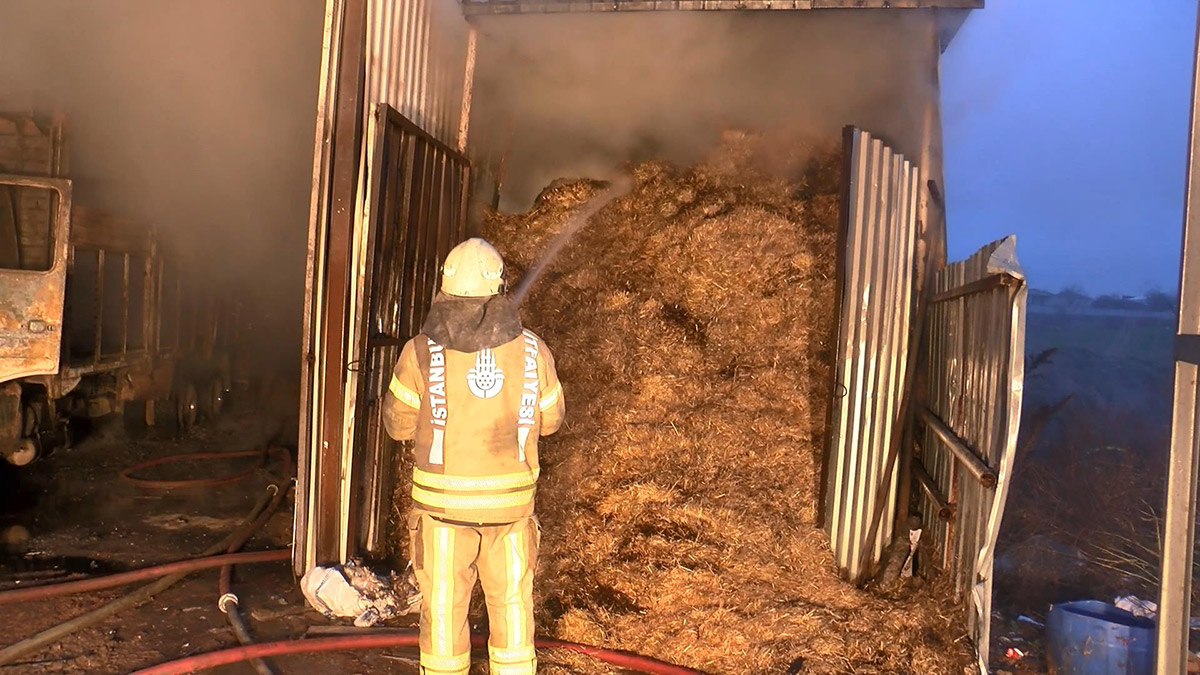 Çatalca'da ahır yangını