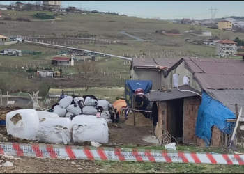 Çoban yem ayrıştırma makinesine düştü