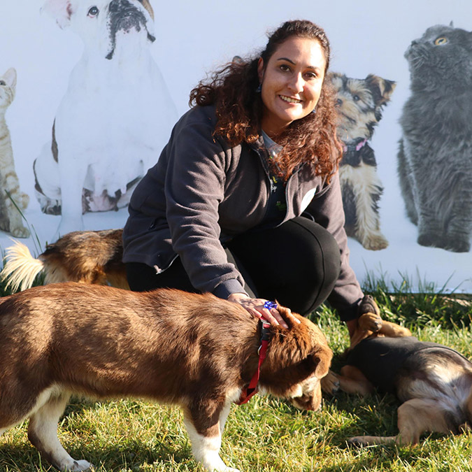 Kedi ve köpekler pandeminin bitmesiyle sokağa terk edildi