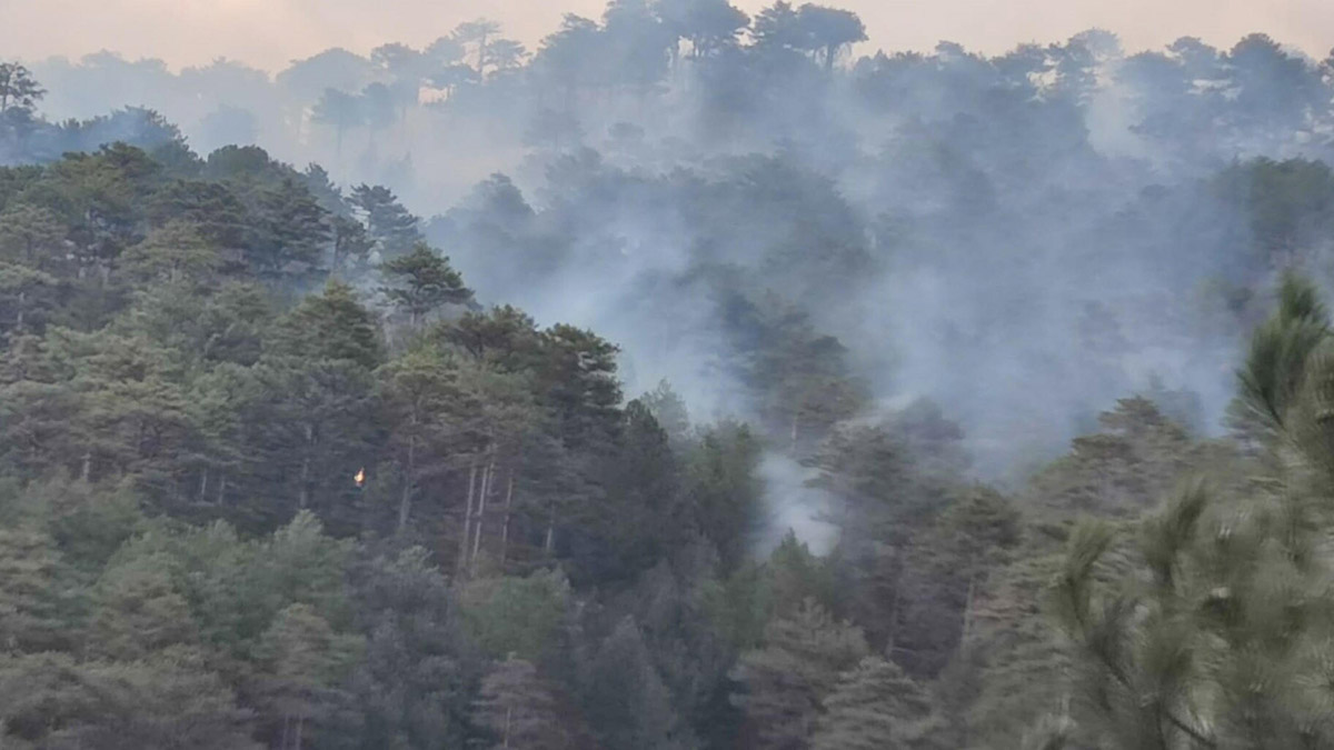 Denizli'de orman yangını çıktı. Bölgeye sevk edilen ekipler, alevlere müdahale ediyor.