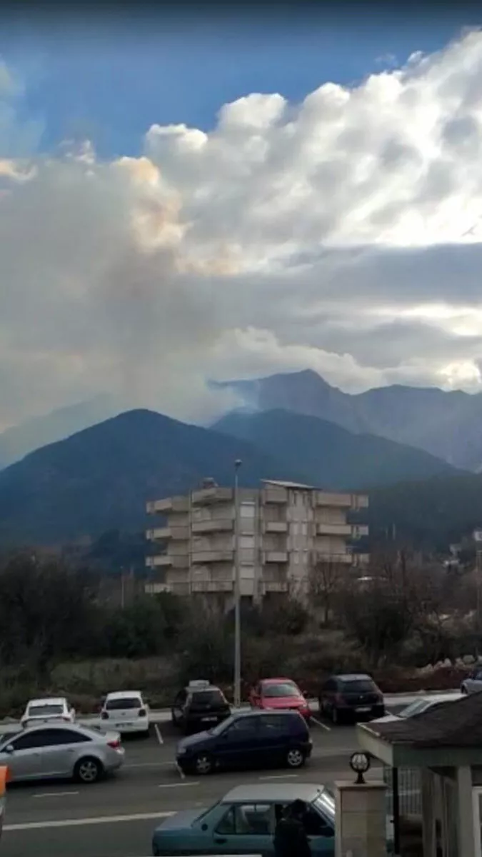 Denizli'deki orman yangınında 5 hektar zarar gördü