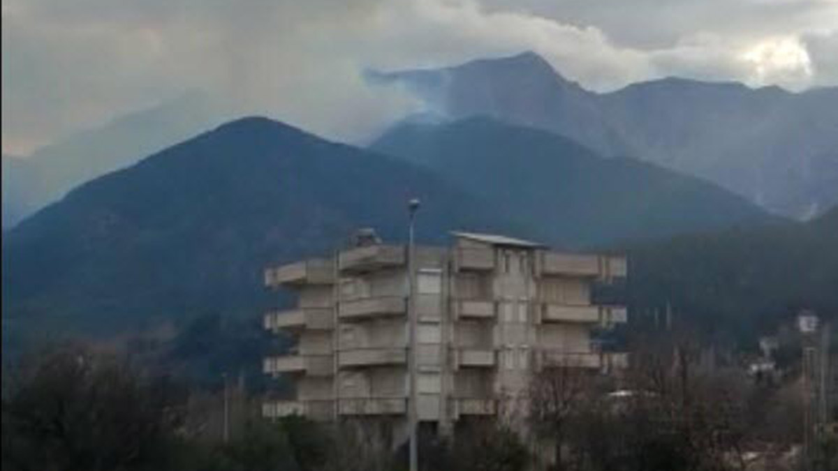 Denizli'deki orman yangınında 5 hektar zarar gördü