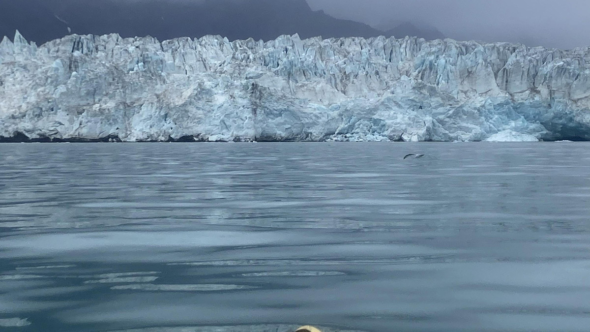 Arktik bölgesinin bize sunduğu çok büyük kaynaklar var