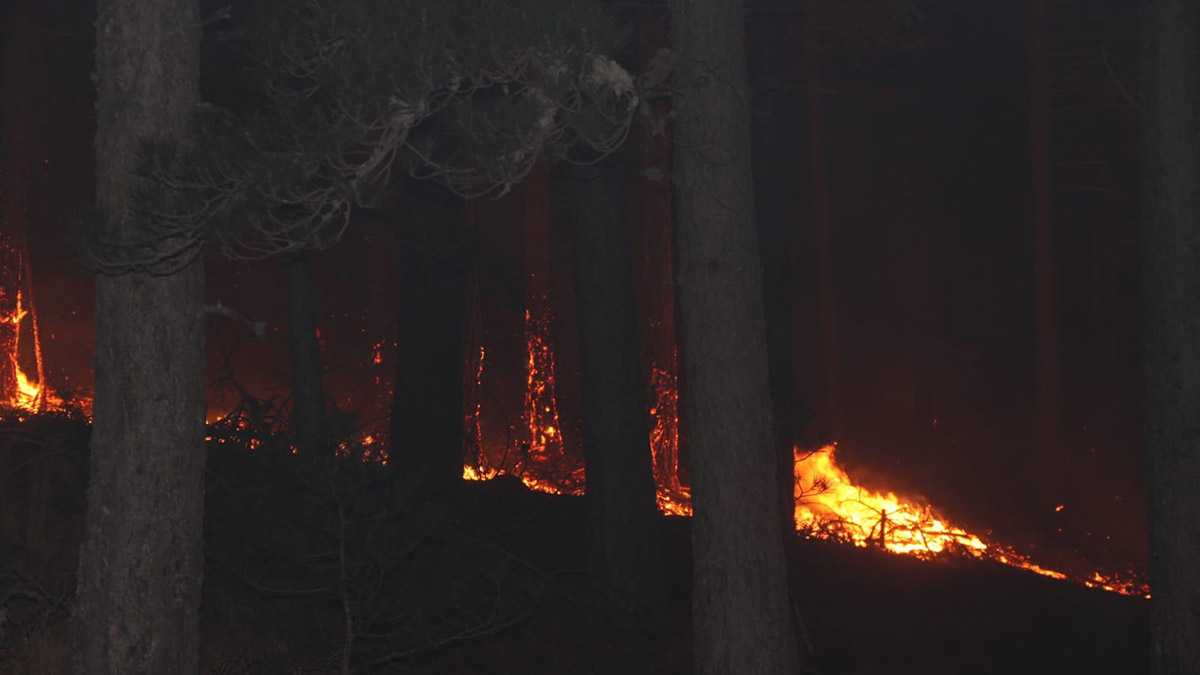 Kazdağları'nda yangın çıktı