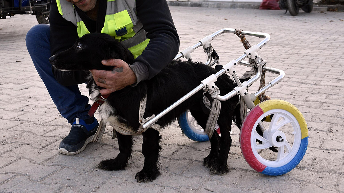 Karam yuvasına kavuştu