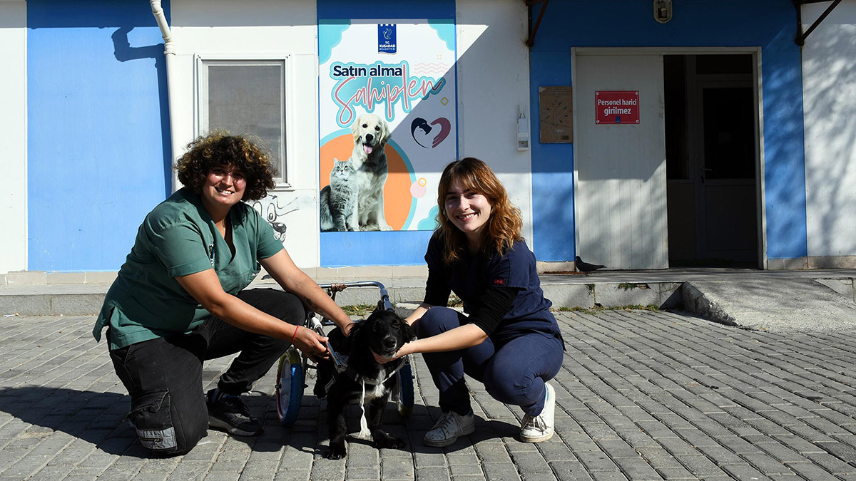 Karam yuvasına kavuştu