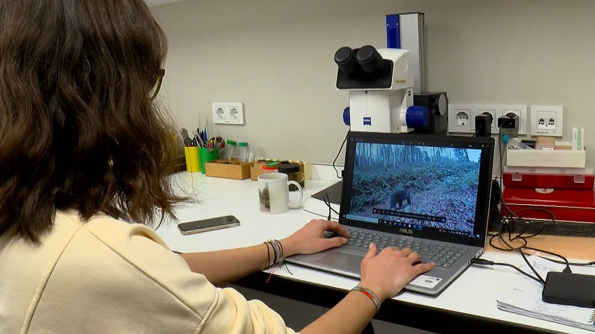 İstanbul Üniversitesi Fen Fakültesi Biyoloji Bölümü’nden bir grup araştırmacı tarafından, fotokapanla yaban hayatı analizi yapıldı.