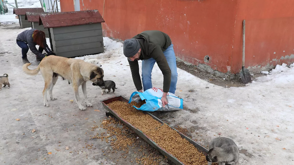 Doğu'daki hayvanlara 40,6 ton mama ulaştırıldı