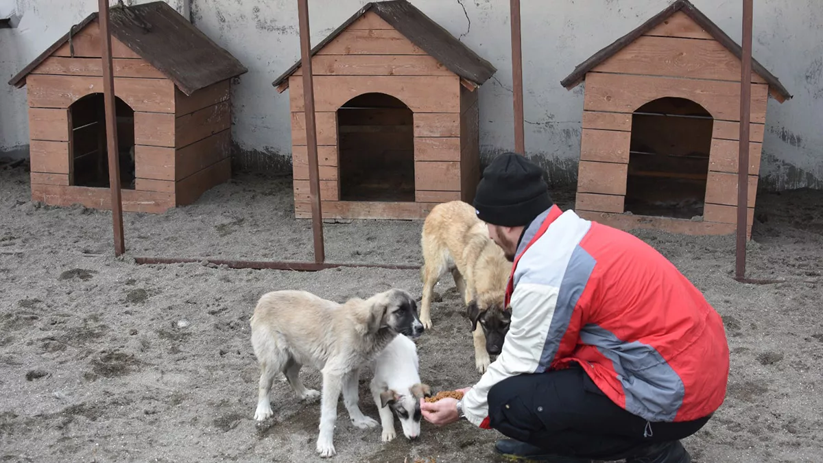 Gonulluler dogu illerindeki barinaklara 406 ton mama ulastirdi 6477 dhaphoto7 - yaşam - haberton