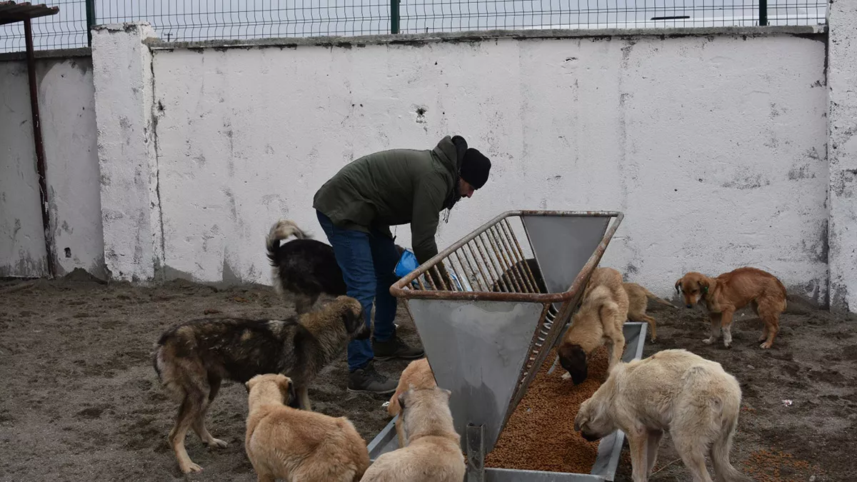 Gonulluler dogu illerindeki barinaklara 406 ton mama ulastirdi 6477 dhaphoto9 - yaşam - haberton