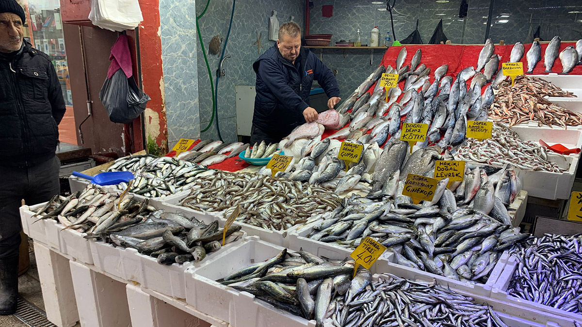 Karadeniz'in soğumasıyla, balık bollaştı