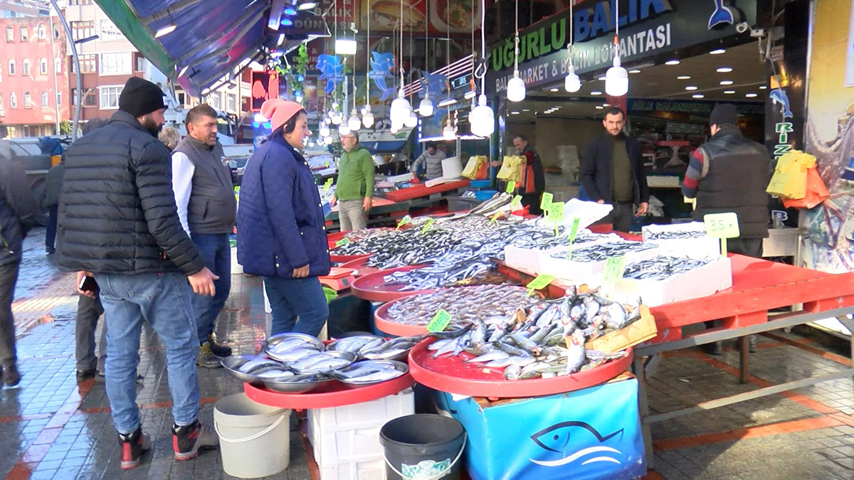 İstavritin kilosu 50 TL'den satılıyor