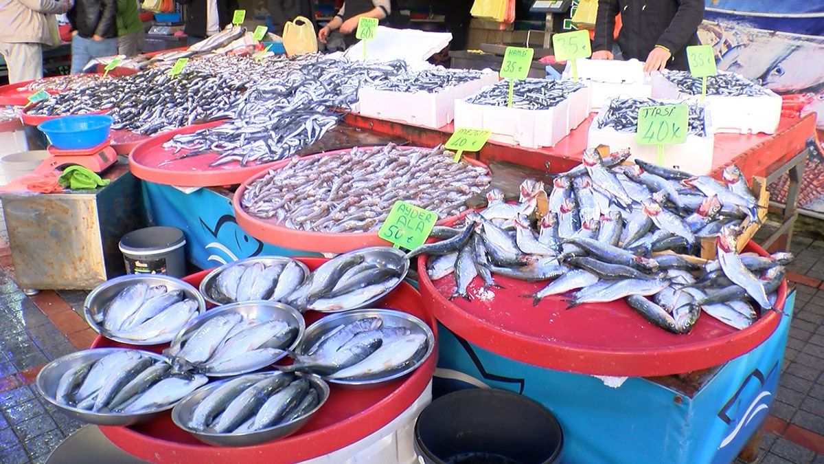 İstavritin kilosu 50 TL'den satılıyor