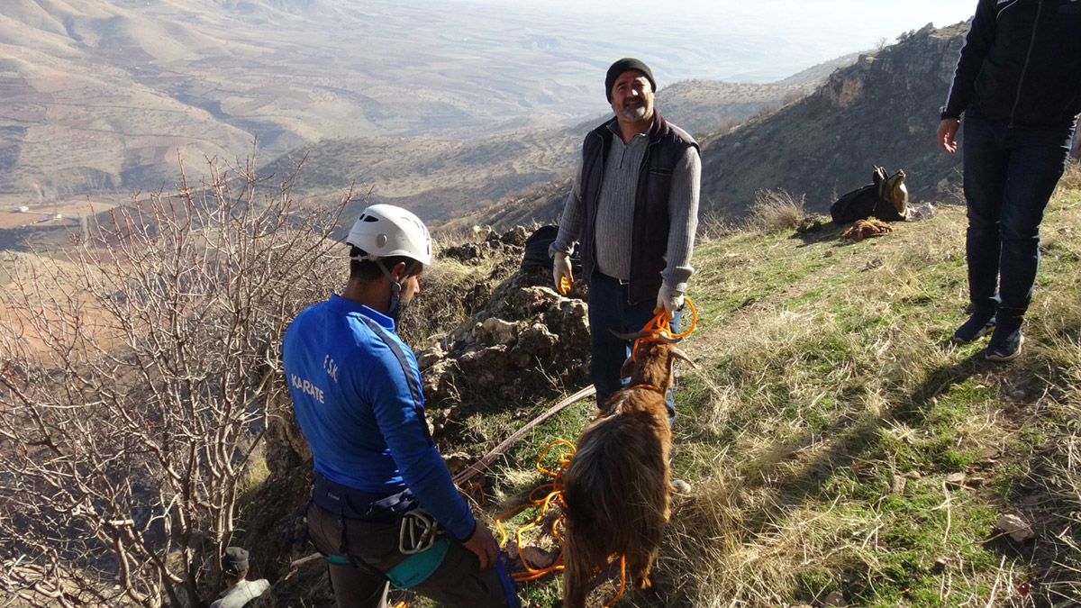 Kayalıklarda mahsur olan keçi kurtarıldı