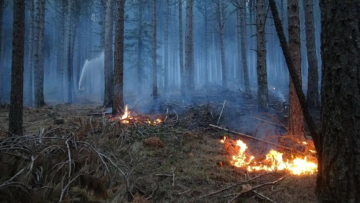 Kaz dağları'nda örtü yangını devam ediyor